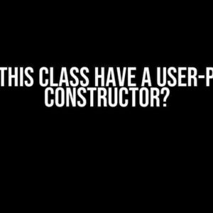 Should this class have a user-provided constructor?