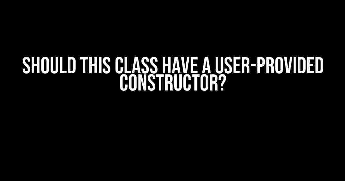 Should this class have a user-provided constructor?